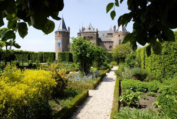 foto_2 in de tuinen van het muiderslot staan verschillende planten waarmee stoffen werden geverfd
