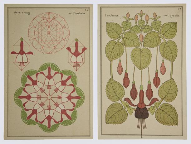 Afb. boven: Tekelenburg, ‘Fuchsia’ platen uit ‘Handleiding bij het ontwerpen van motieven naar plantvormen’, 1913, collectie TextielMuseum Tilburg. Foto: Josefina Eikenaar-TextielMuseum.