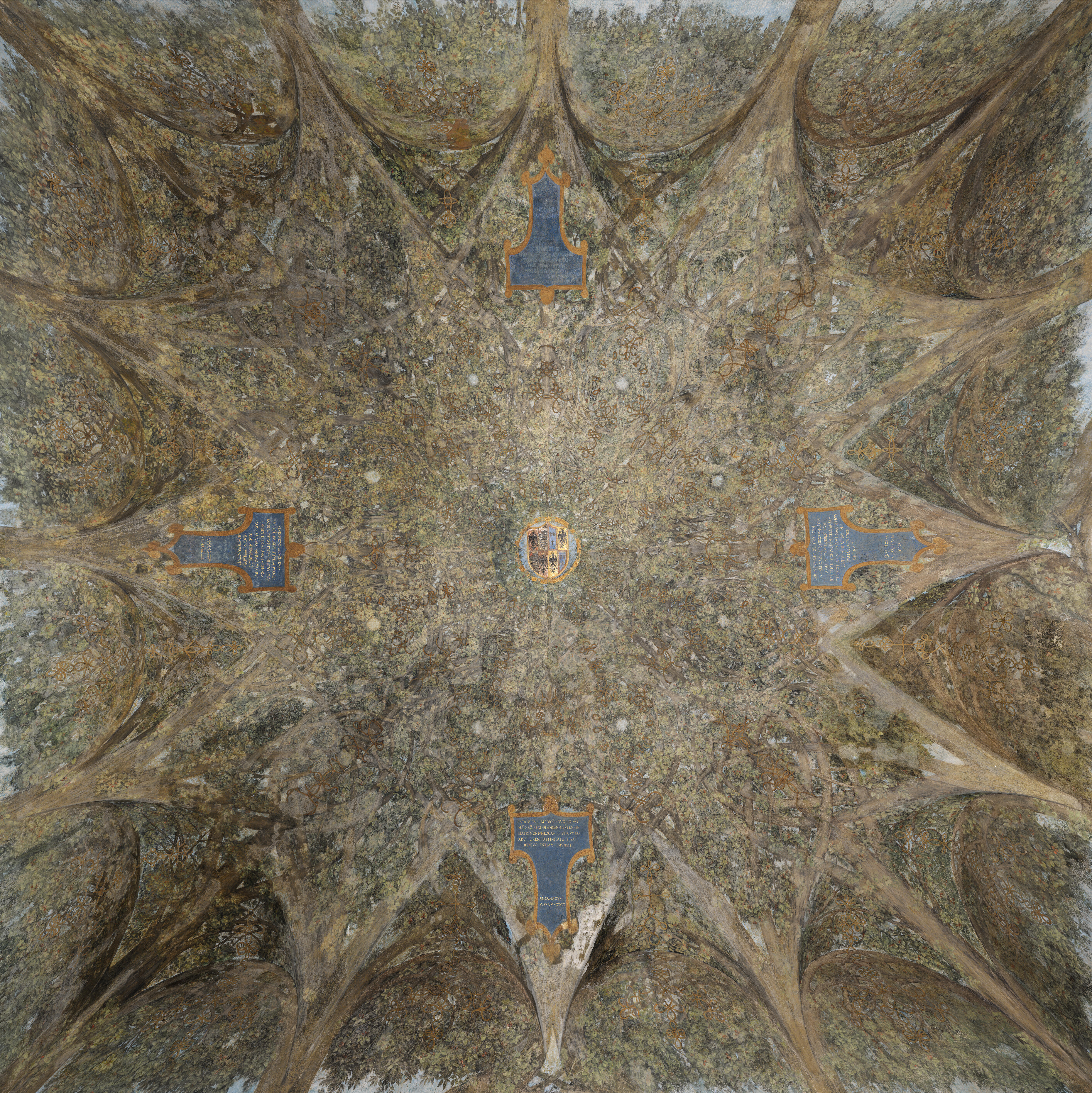 plafondschildering van Leonardo Da Vinci (1452-1519) in de Sala delle Asse in het Milanese Castello Sforzesco 