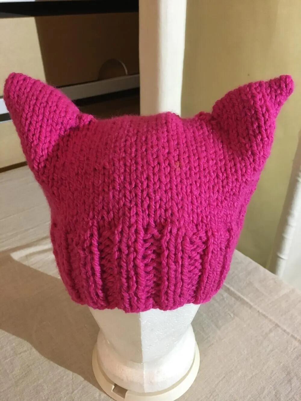 Pussy hat Kunstmuseum