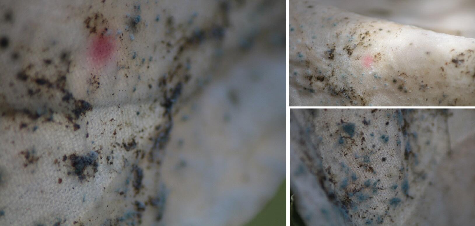 Detailfoto's van gekleurde schimmels op een proefmodel van kaasdoek