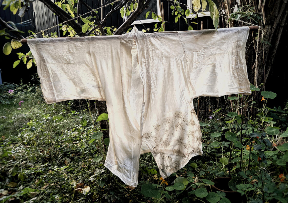 Proefmodel bestreken met een laag agar-agar