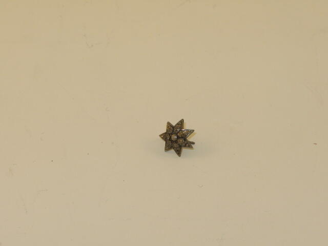 Oorbel (stervormig)