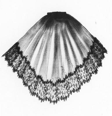 Jabot