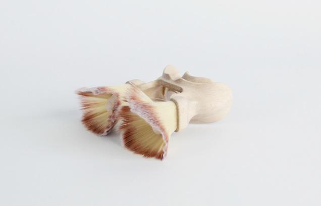 Paradisaea mouthpiece
