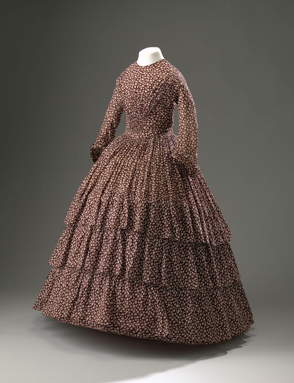 Crinoline japon