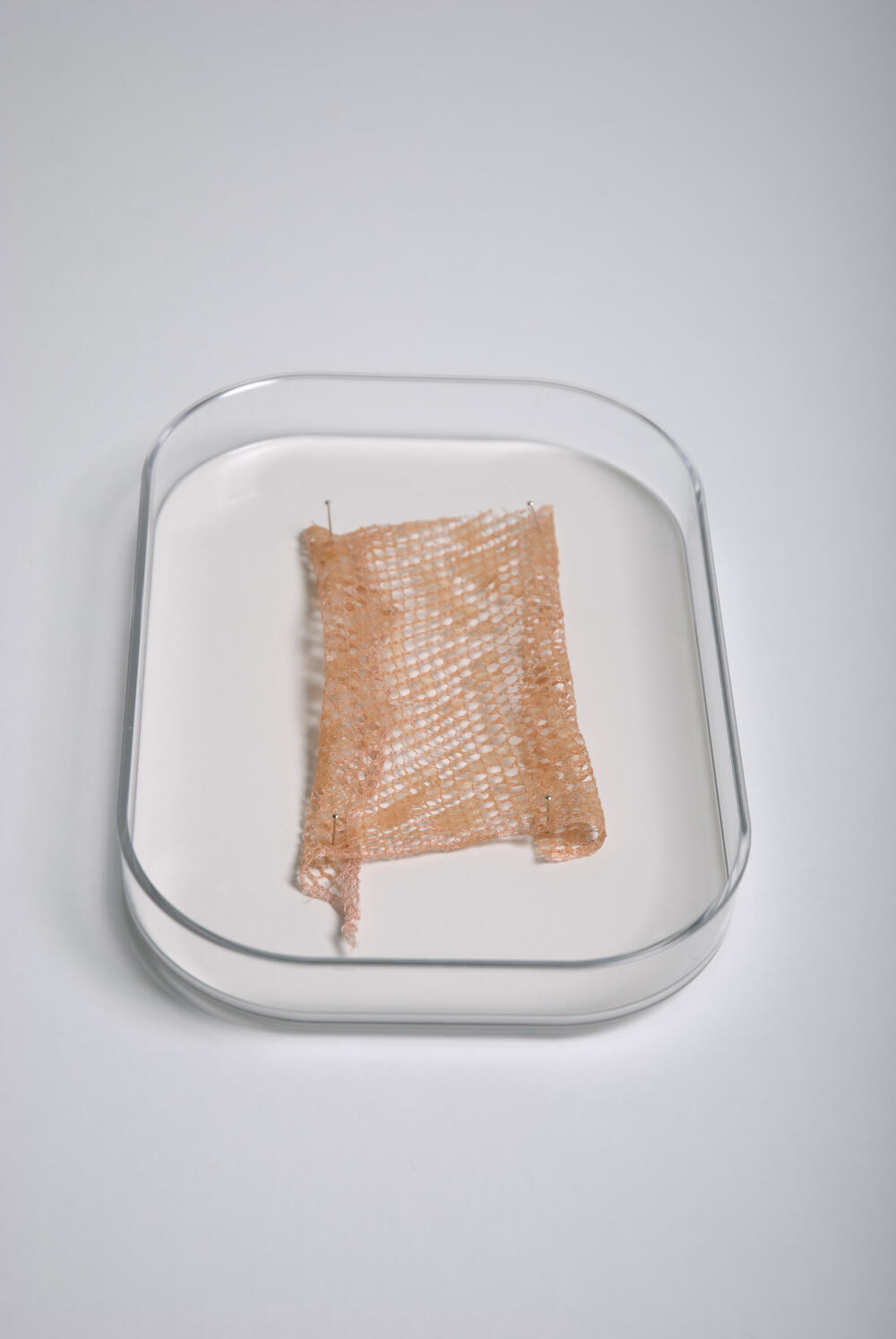 'Ecdysis', gebreide sample