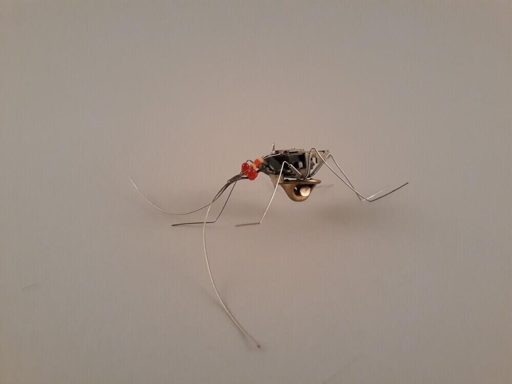 Insektbroche