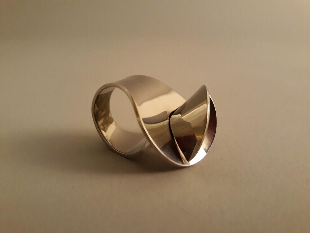 Ring van staal