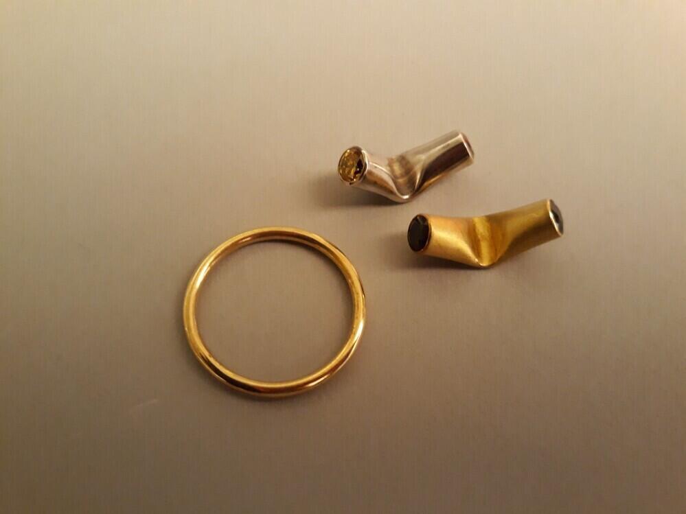 Ring met wisselelementen