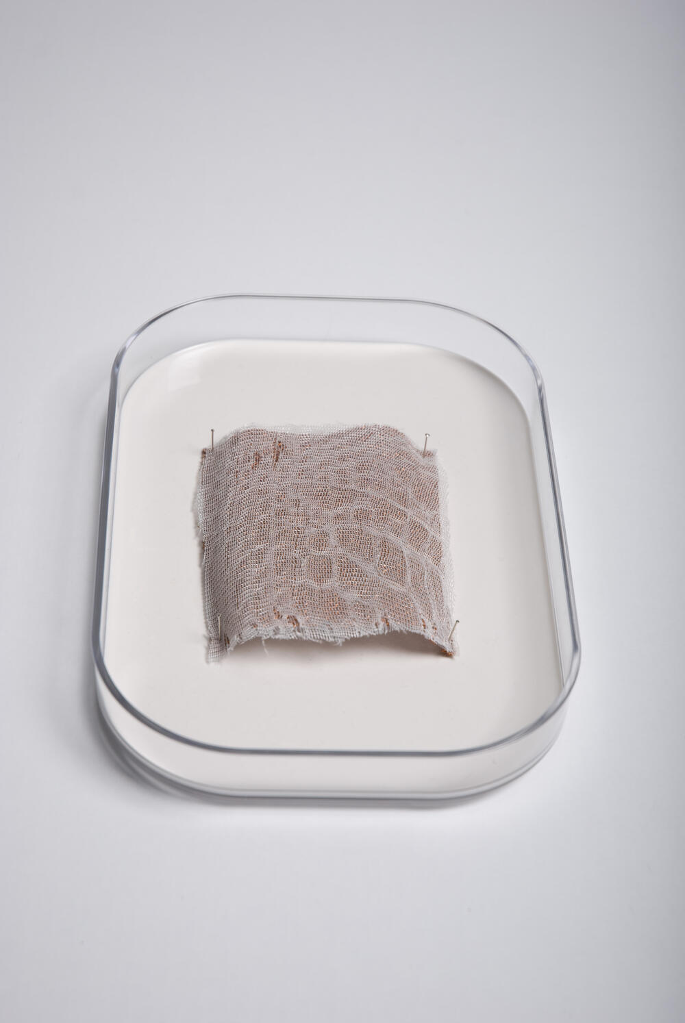 'Ecdysis', sample, geweven en geborduurd