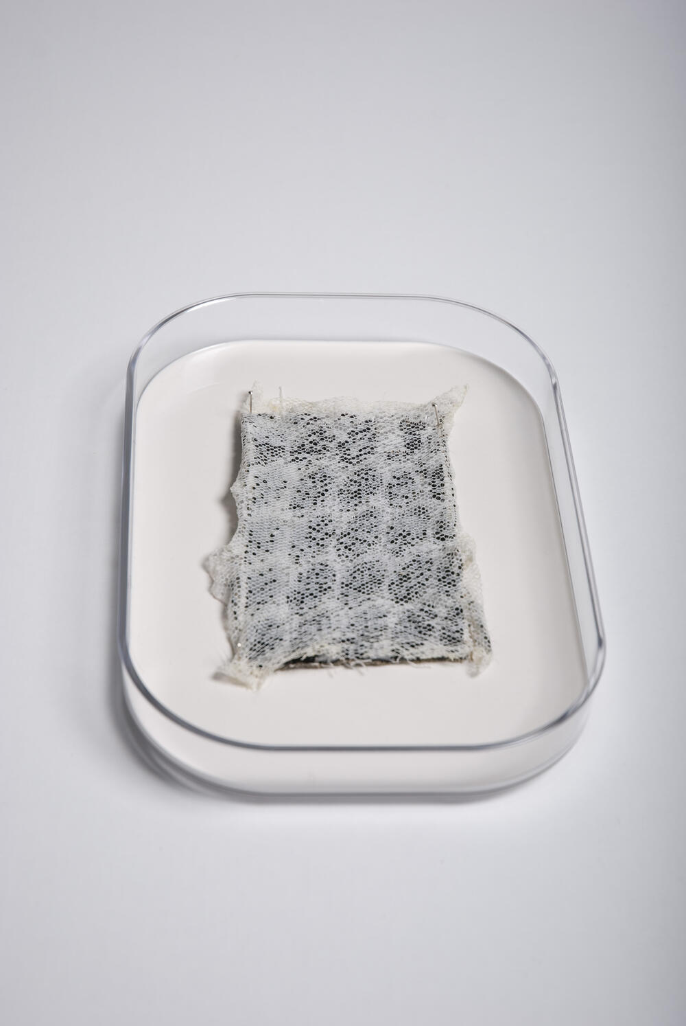 'Ecdysis', geweven sample