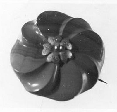 Broche