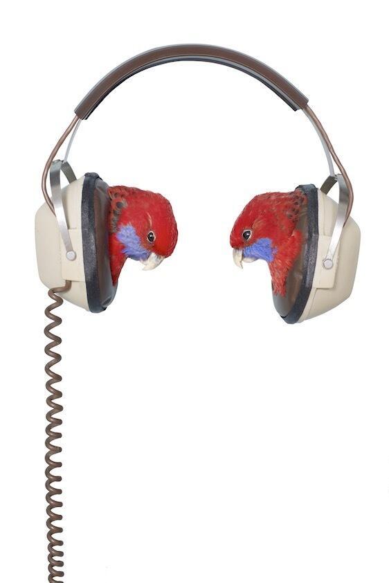 Stereo