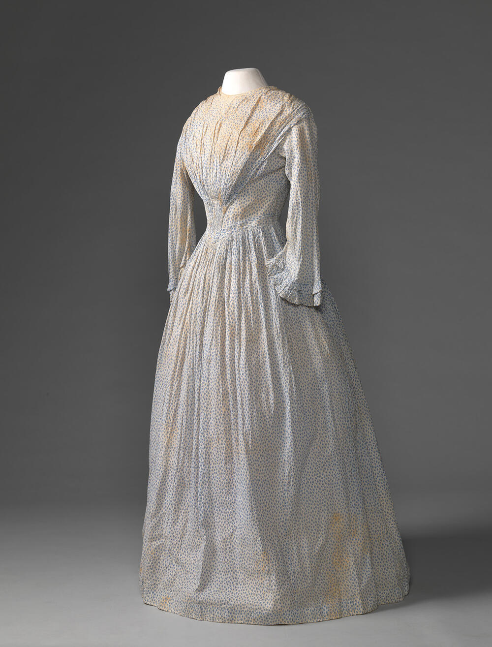 Crinoline japon