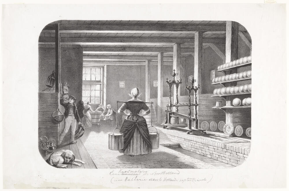 Noord-Hollandse kaasmakerij