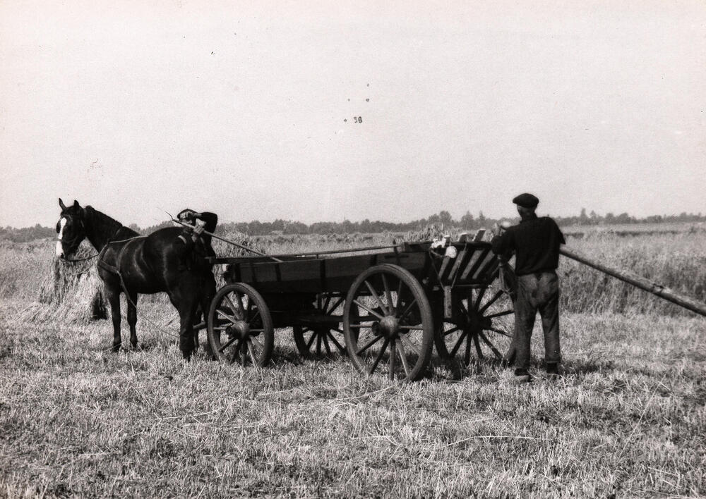 Boerenwagen, Staphorst, 1944