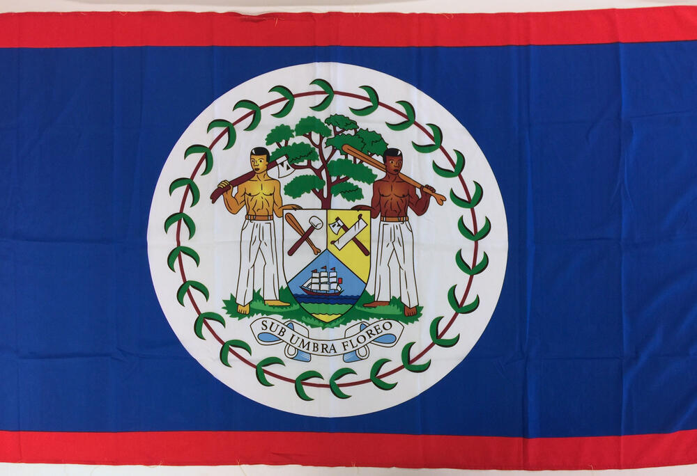 Vlag van Belize, verwijderd uit de Amsterdam Rainbow Dress