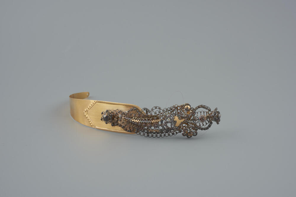 Gouden voorhoofdsnaald, Noord-Holland, 1867