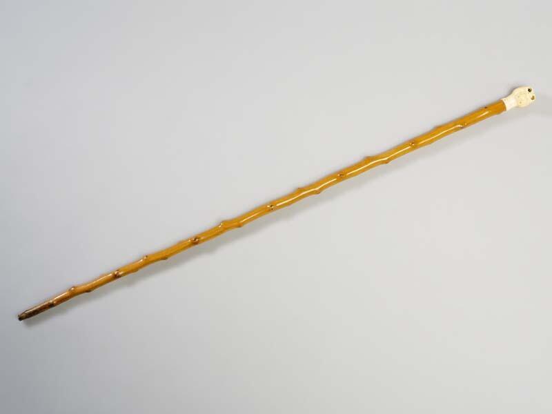 Wandelstok met doornknobbels, de knop bestaat uit een gesneden buldoggenkop