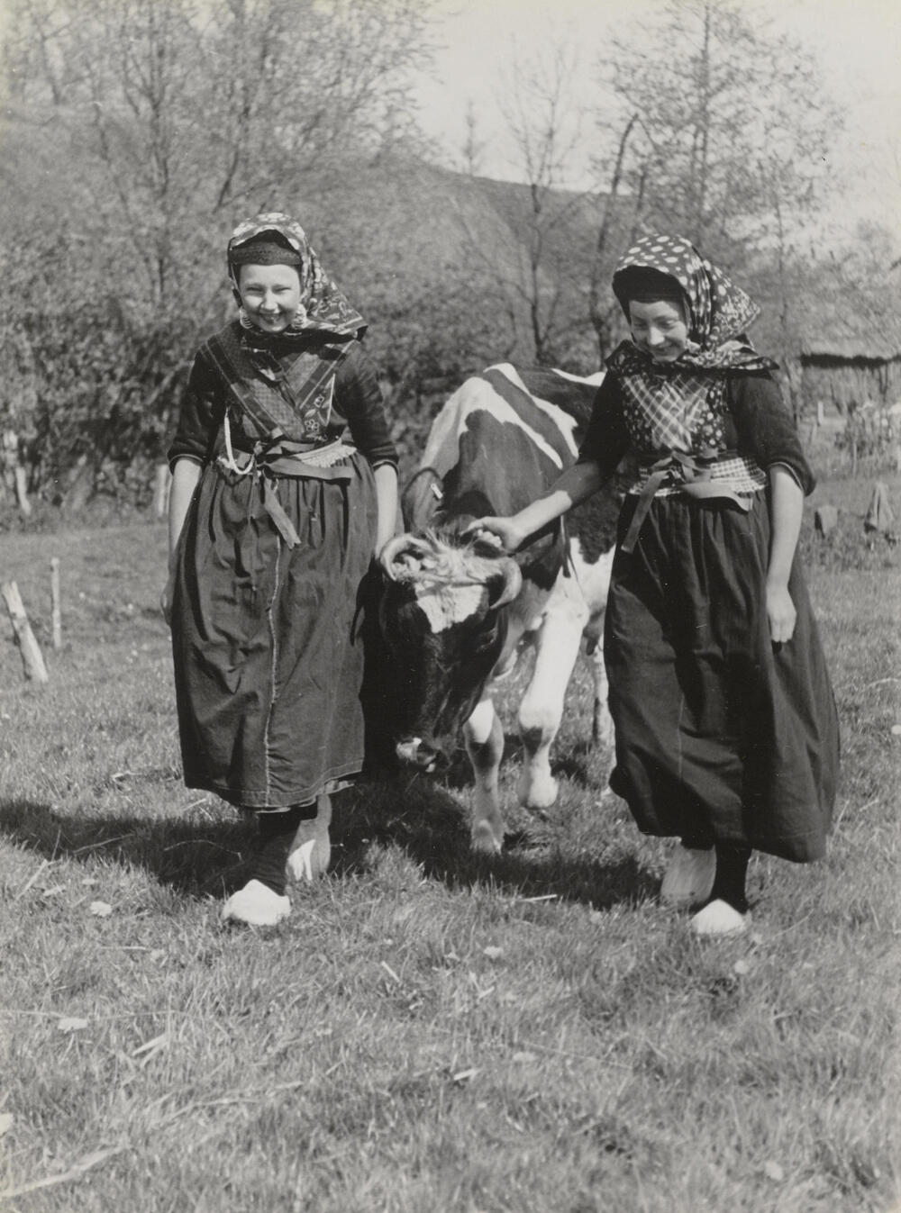 Grietje Troost en Geertje Hoeve met een koe, Rouveen, 1944