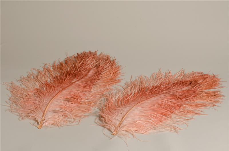 Twee struisvogelveren
