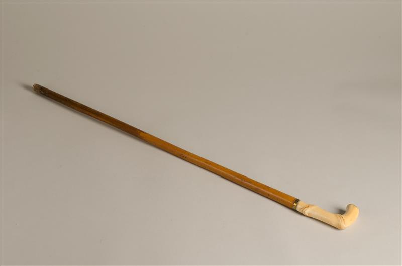 Wandelstok