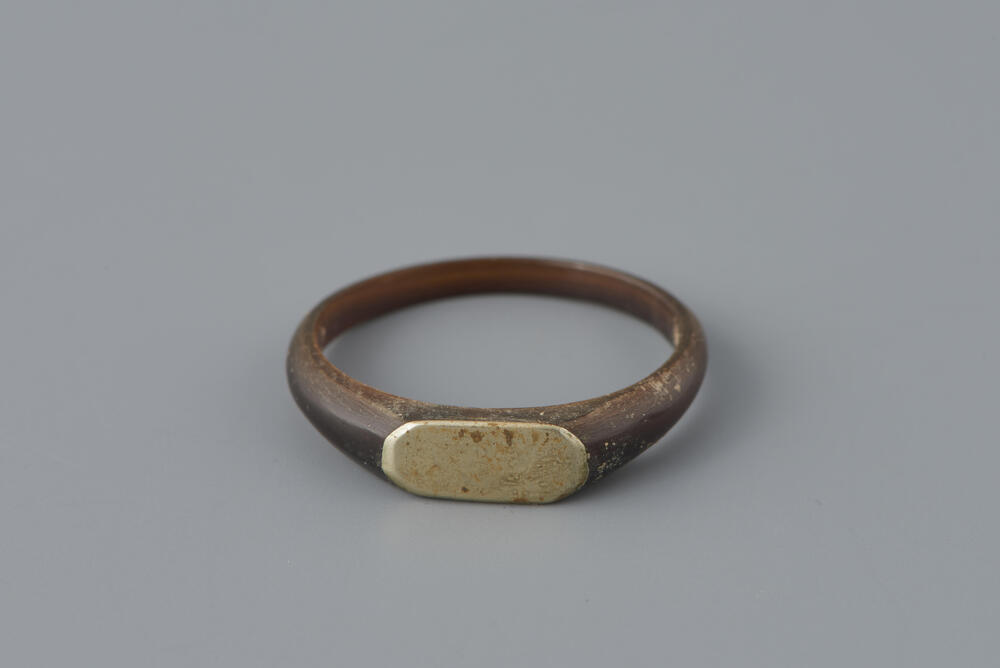 Ring van hoorn, Nederland