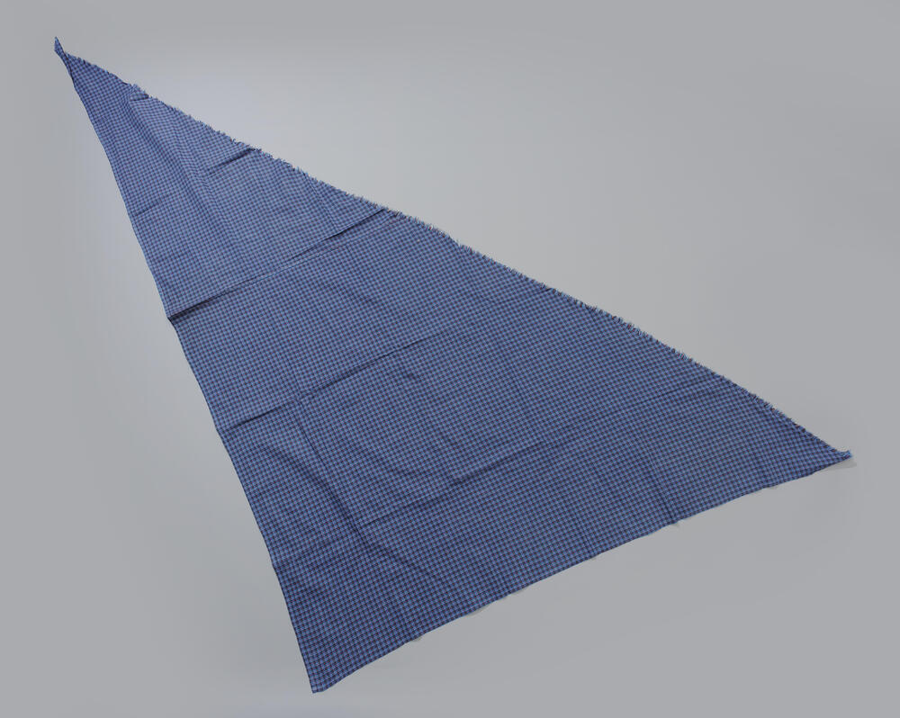 Doek bij daagse beuk, Zuid-Beveland, voor 1972