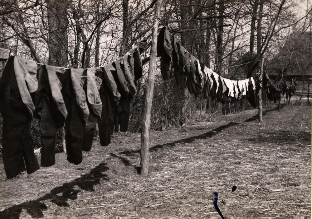 'Zonnen' of luchten van kleding in het voorjaar, Staphorst of Rouveen, 1944