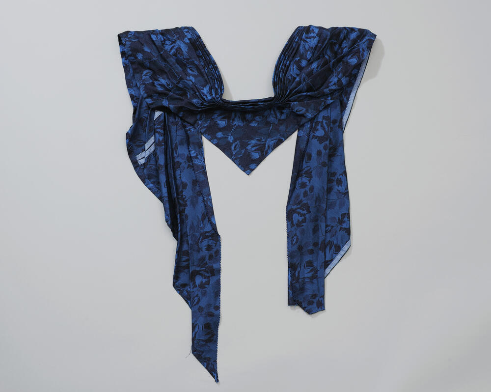 Doek bij beuk, Ovezande, 1900–1985
