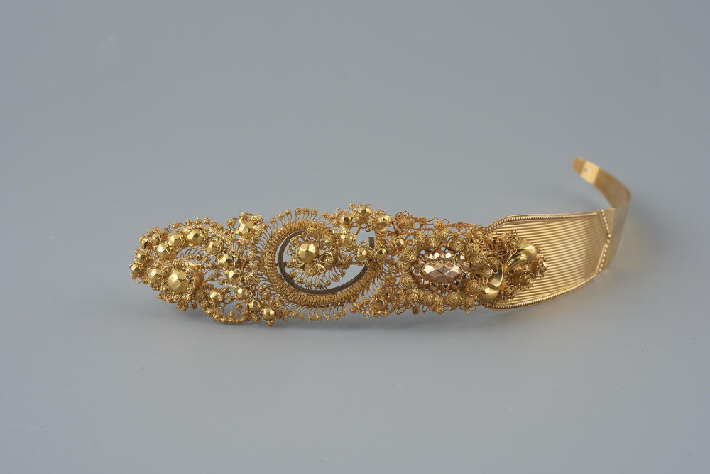 Gouden voorhoofdsnaald, Bergen (N.H.), 1867