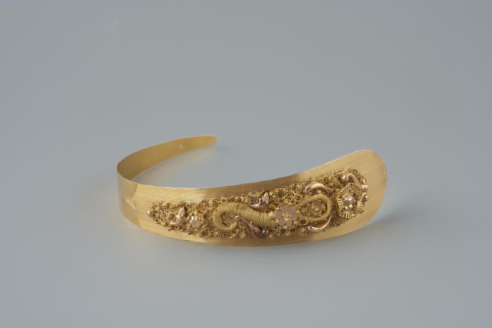 Gouden voorhoofdsnaald, Noord-Holland, 1867