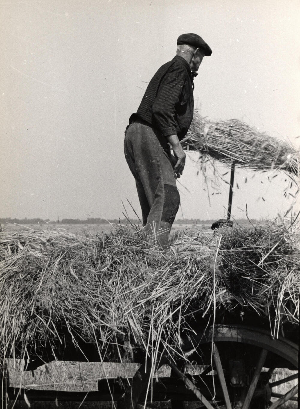 Opladen van rogge, Staphorst, 1944