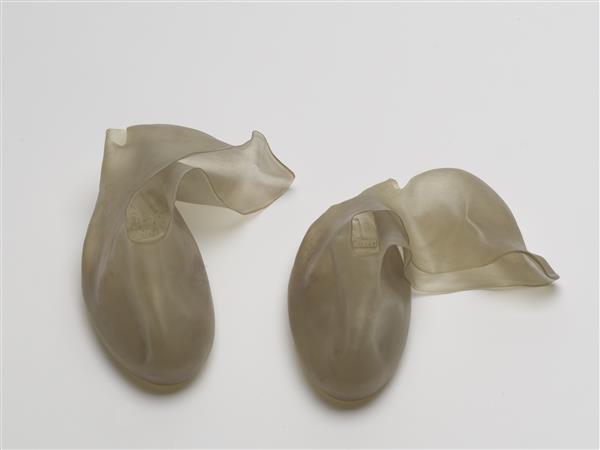 Schoenbeschermers