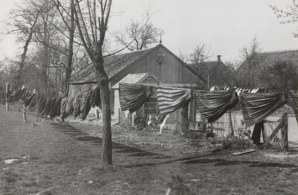 'Zonnen' of luchten van kleding in het voorjaar, Staphorst of Rouveen, 1944