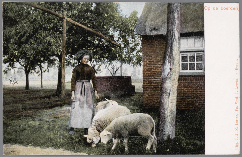 Vrouw in Noord-Brabantse dracht met schapen, 1902–1905