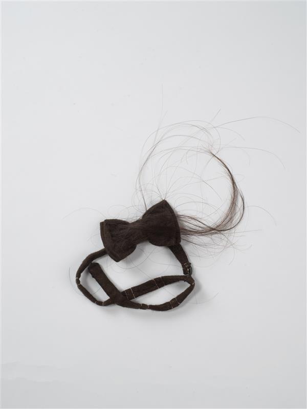 Project 000 - 004 Hypertrichosis bow tie 2.0