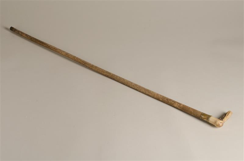 Wandelstok