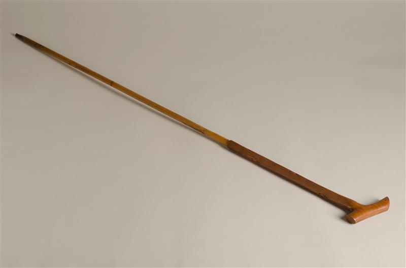 Wandelstok