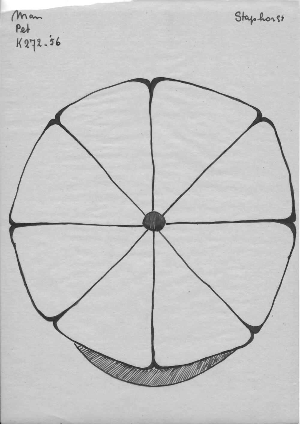 Tekening van een pet, Staphorst