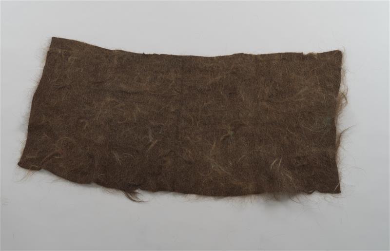 lap van haar van bezoekers tentoonstelling Haar!