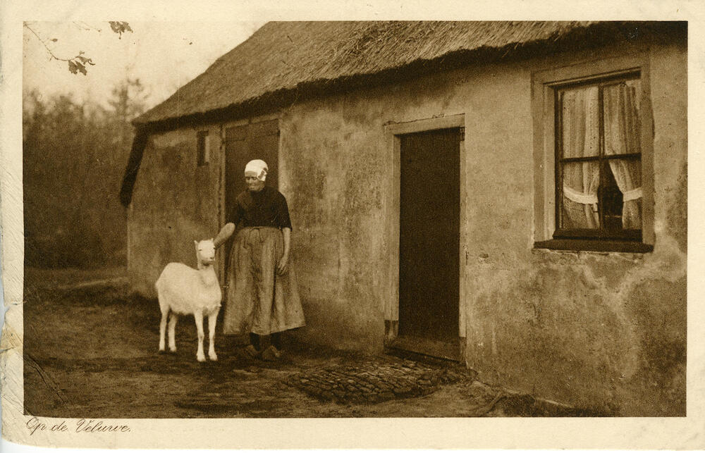 Op de Veluwe