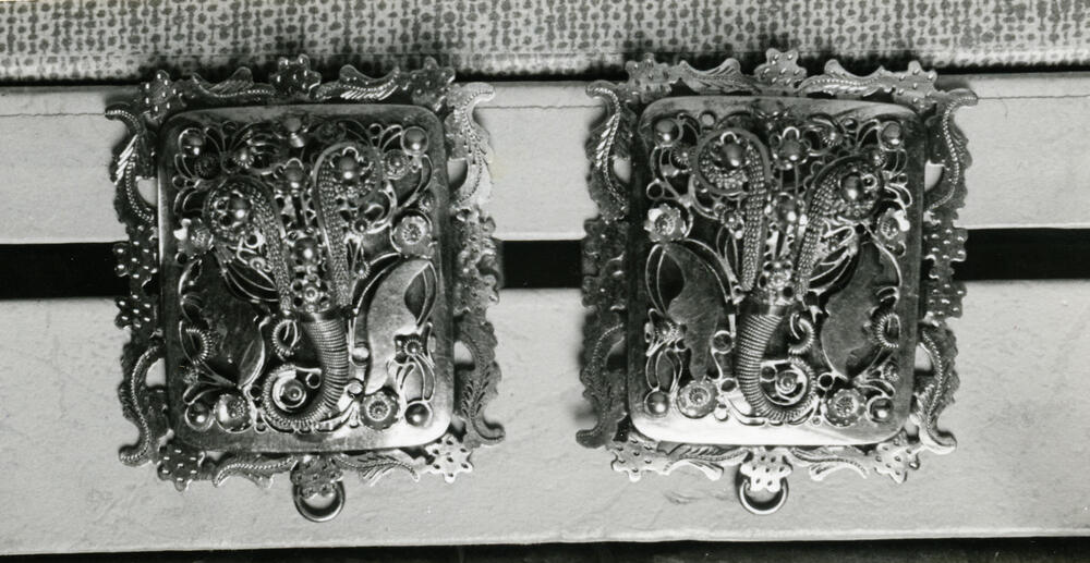 Gouden oorijzeruiteinden, Vlaardingen, 1950