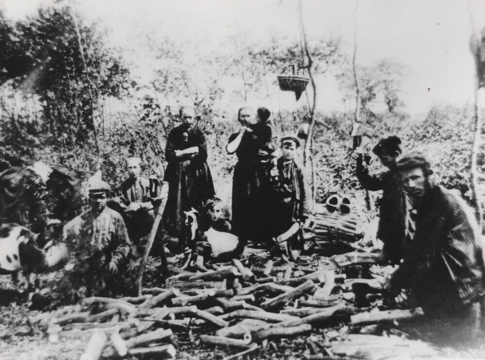 Veluwse eekschillers uit 't Harde in Gieten, circa 1908