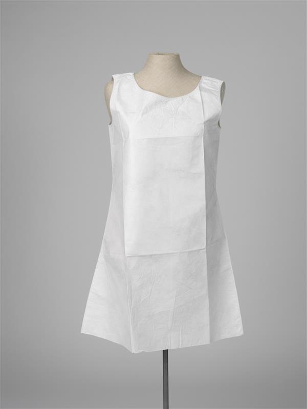 Paper dress