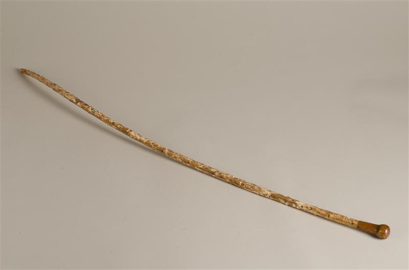 Wandelstok