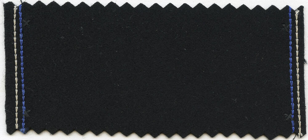 Doeskin, Leiden, circa 1855