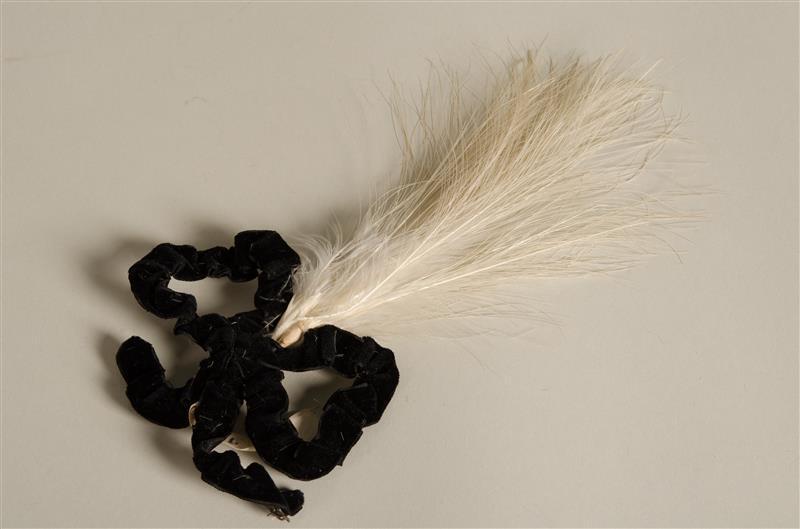 Aigrette