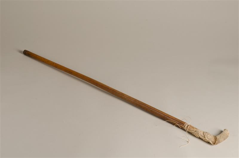 Wandelstok